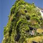 Athenaeum Hotel and Apartments, The