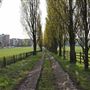 College Farm