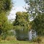 Mayesbrook Park