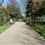 Duncan Terrace and Duncan Terrace Gardens