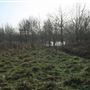 Fairlop Waters