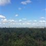 Addington Hills Viewing Platform