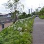 Queen Elizabeth Olympic Park - South Park General Areas (QEOP)