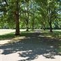 Beddington Park & The Grange