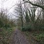 Arrandene Open Space