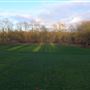 Harold Wood Park