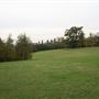 The Mill Field