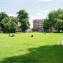 Turnham Green