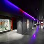 Royal Institution of Great Britain, The