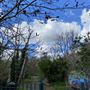 Markfield Park