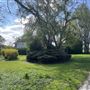 Southwood Park
