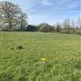 Greenbanks Farm