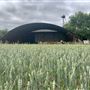 Runaway Farm