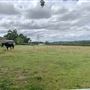 Waddle Farm