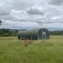Waddle Farm