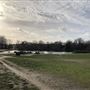 Wanstead Park