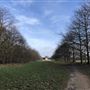 Wanstead Park