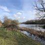 Wanstead Park