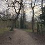 Wanstead Park