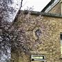 Manor House Library