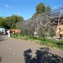 London Zoo