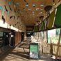 London Zoo