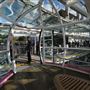 London Eye