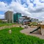 The Tree Nursery at Parkside Yards