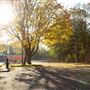 The Lakeside Campus