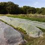 Soul Farm