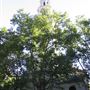 St Clement Danes Church