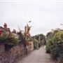 Grange Primary School