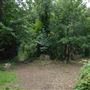 Abney Park Cemetery