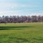 Battersea Park