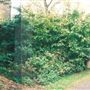 Walpole Park