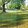 St John's Park