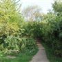 Stave Hill Ecological Park