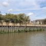 Deptford Creek