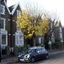 De Beauvoir Square