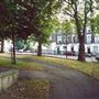 Percy Circus