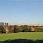 Mountsfield Park