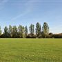Mountsfield Park