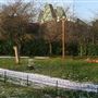 London Zoo