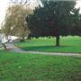 Radnor Gardens