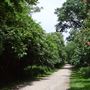 Holland Park