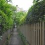 Mansfield Place