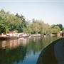 Camley Street Natural Park