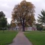 Kensington Gardens