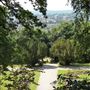 Oxleas Woods, Jack Wood and Castlewood