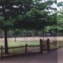 Archbishop's Park